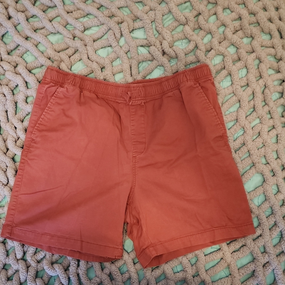 Men's Rust Shorts